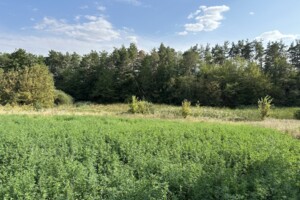 Земельна ділянка комерційного призначення в Ксаверівці, площа 12.62 сотки фото 2