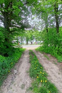 Земельна ділянка комерційного призначення в Ксаверівці, площа 6 Га фото 2
