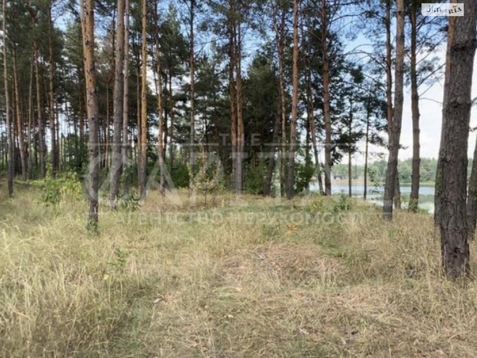 Земельный участок коммерческого назначения в Лебедевке, площадь 108 соток фото 1