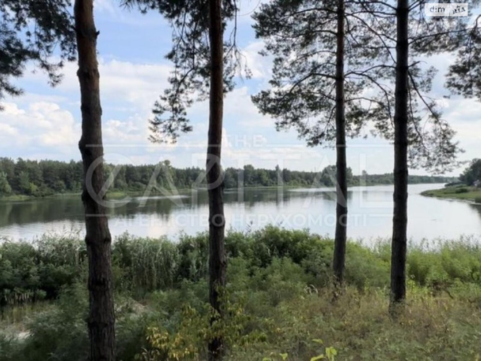 Земельна ділянка комерційного призначення в Лебедівці, площа 108 соток фото 1