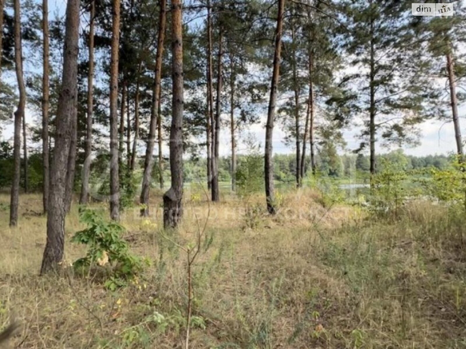 Земельна ділянка комерційного призначення в Лебедівці, площа 108 соток фото 1