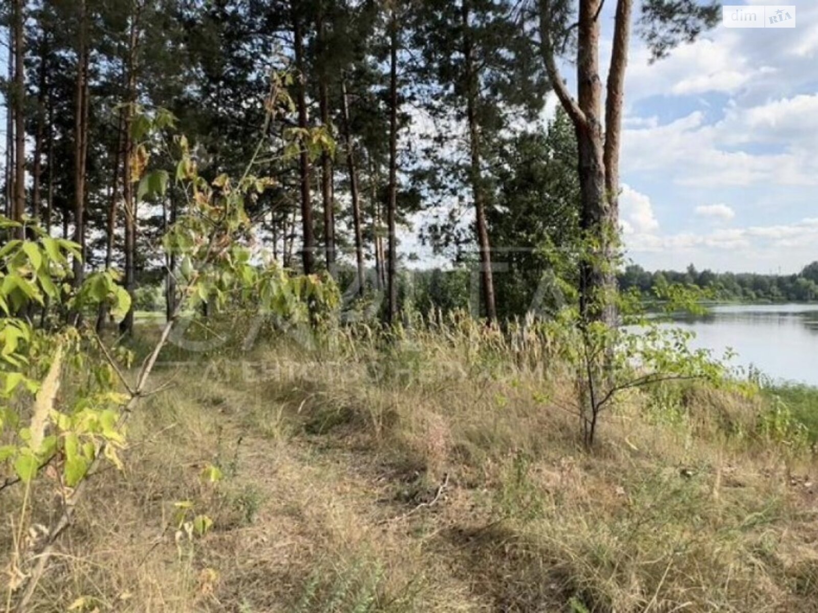 Земельна ділянка комерційного призначення в Лебедівці, площа 108 соток фото 1