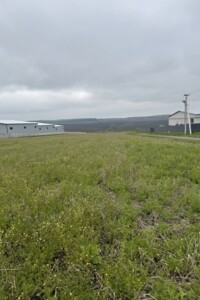 Земельный участок коммерческого назначения в Лесовых Гриновцах, площадь 50 соток фото 2