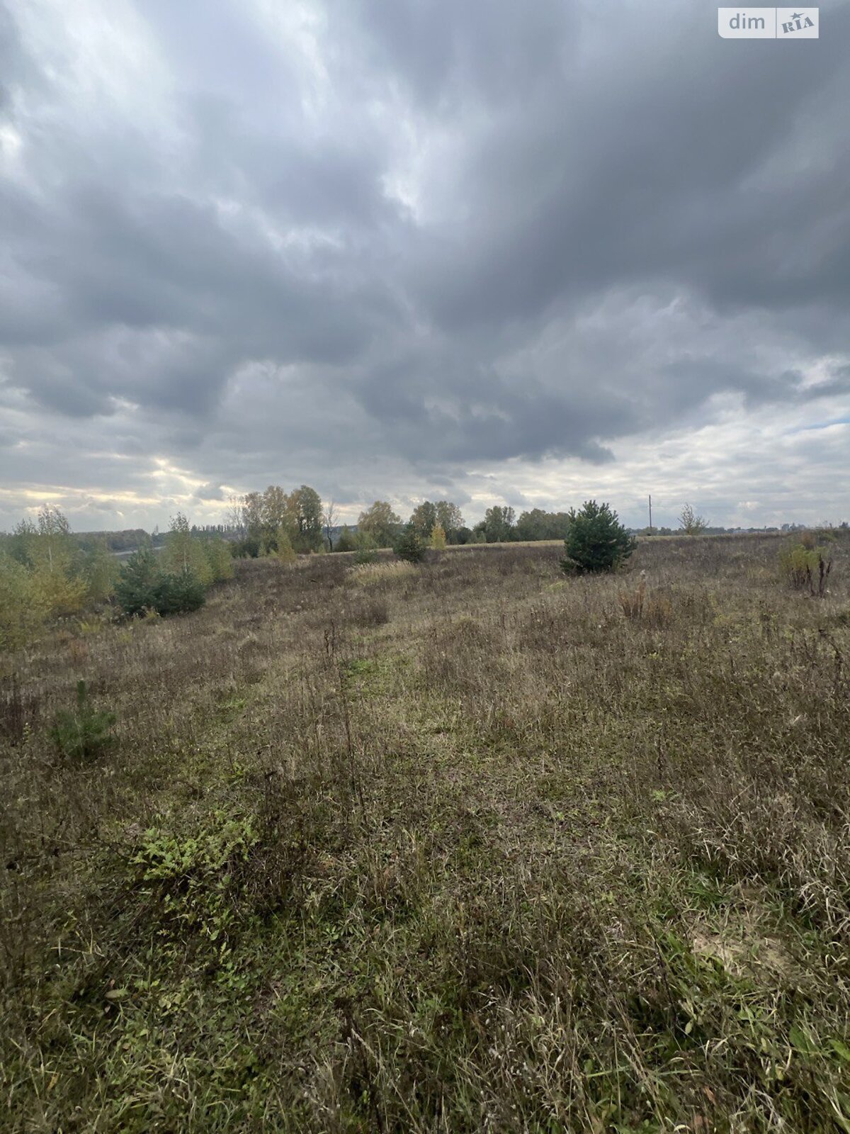 Земельна ділянка комерційного призначення в Лісових Гринівцях, площа 22.9 сотки фото 1 Земельна ділянка комерційного призначення в Лісових Гринівцях, площа 22.9 сотки фото 1