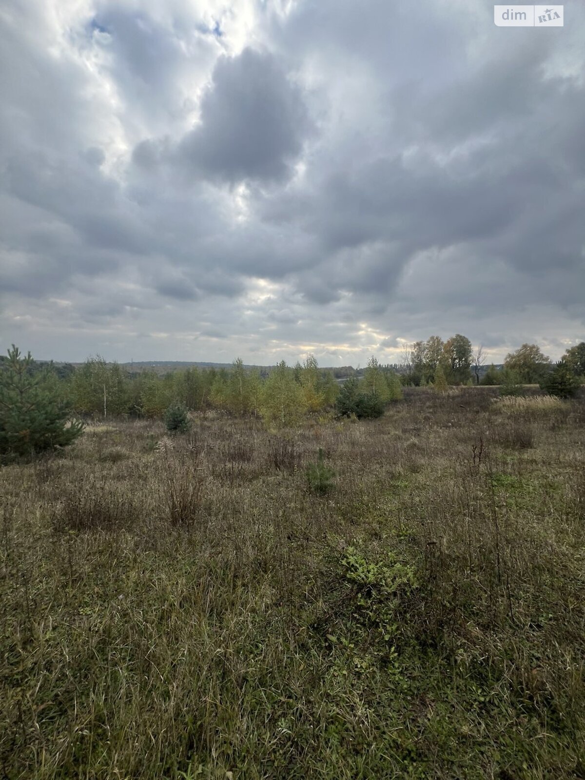 Земельна ділянка комерційного призначення в Лісових Гринівцях, площа 77.1 сотки фото 1 Земельна ділянка комерційного призначення в Лісових Гринівцях, площа 77.1 сотки фото 1