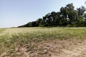 Земельна ділянка комерційного призначення в Крупі, площа 70.22 сотки фото 2 Земельна ділянка комерційного призначення в Крупі, площа 70.22 сотки фото 2