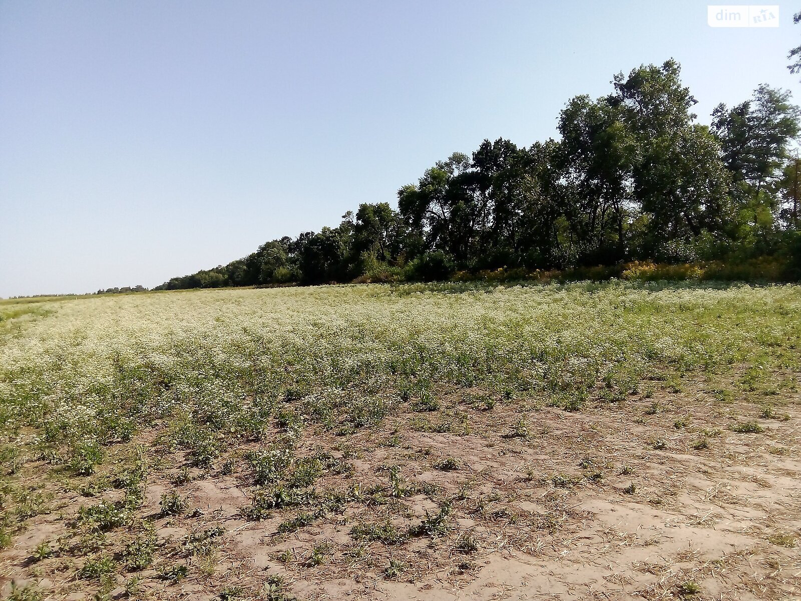 Земельна ділянка комерційного призначення в Крупі, площа 70.22 сотки фото 1 Земельна ділянка комерційного призначення в Крупі, площа 70.22 сотки фото 1