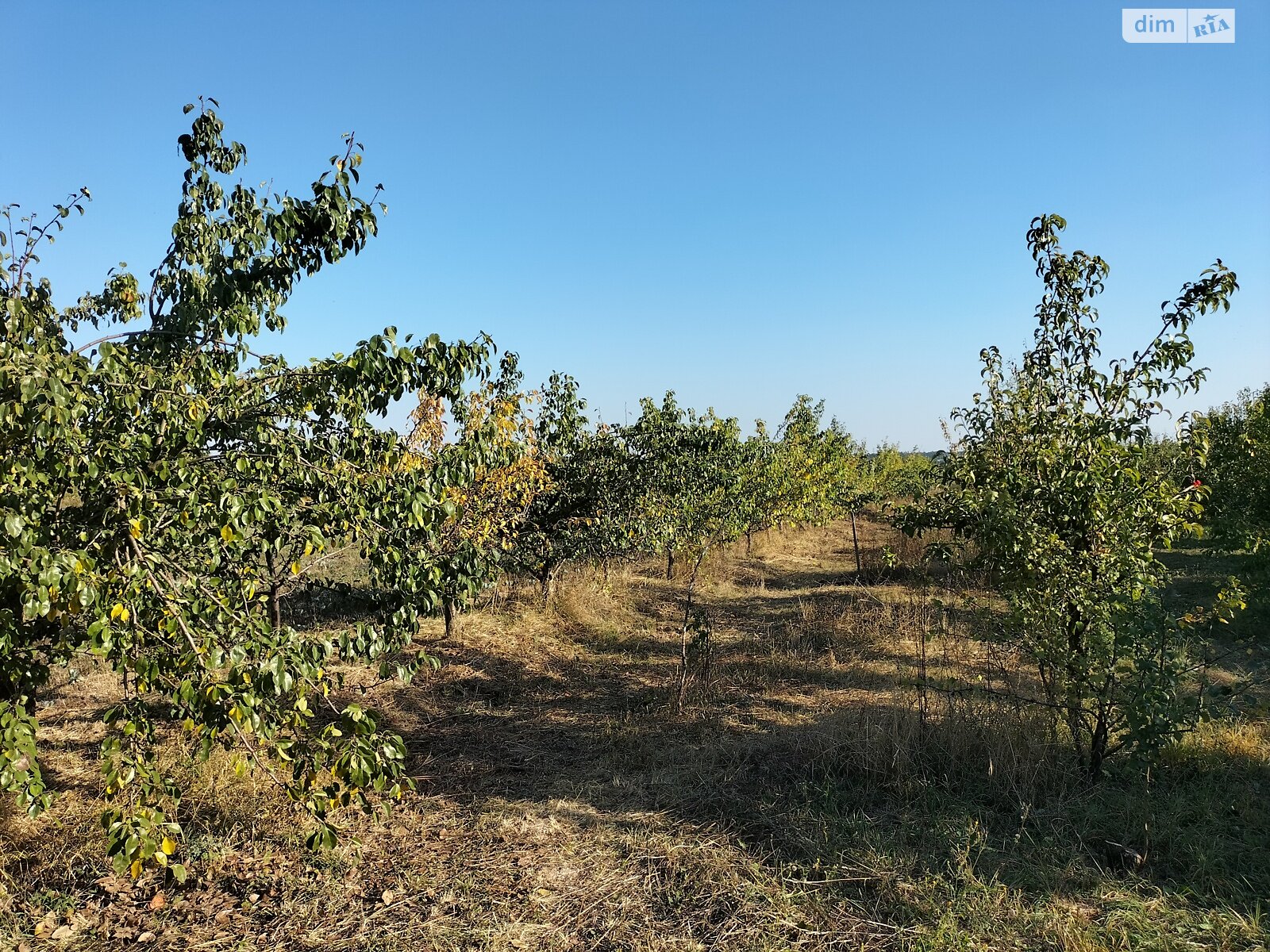 Земельный участок коммерческого назначения в Луке-Мелешковской, площадь 2.138 Га фото 1 Земельный участок коммерческого назначения в Луке-Мелешковской, площадь 2.138 Га фото 1