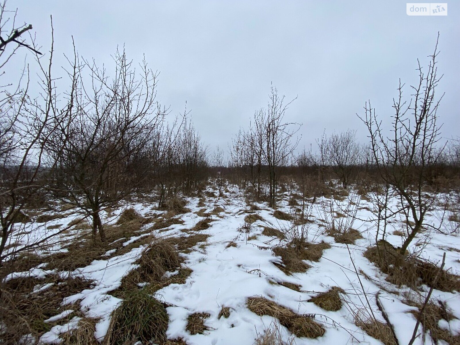 Земельный участок коммерческого назначения в Луке-Мелешковской, площадь 215 соток фото 1