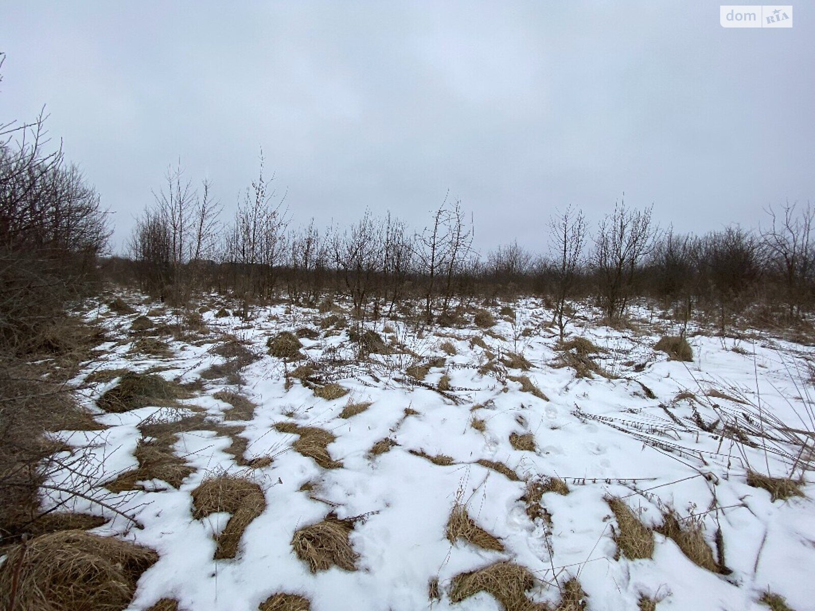 Земельный участок коммерческого назначения в Луке-Мелешковской, площадь 215 соток фото 1