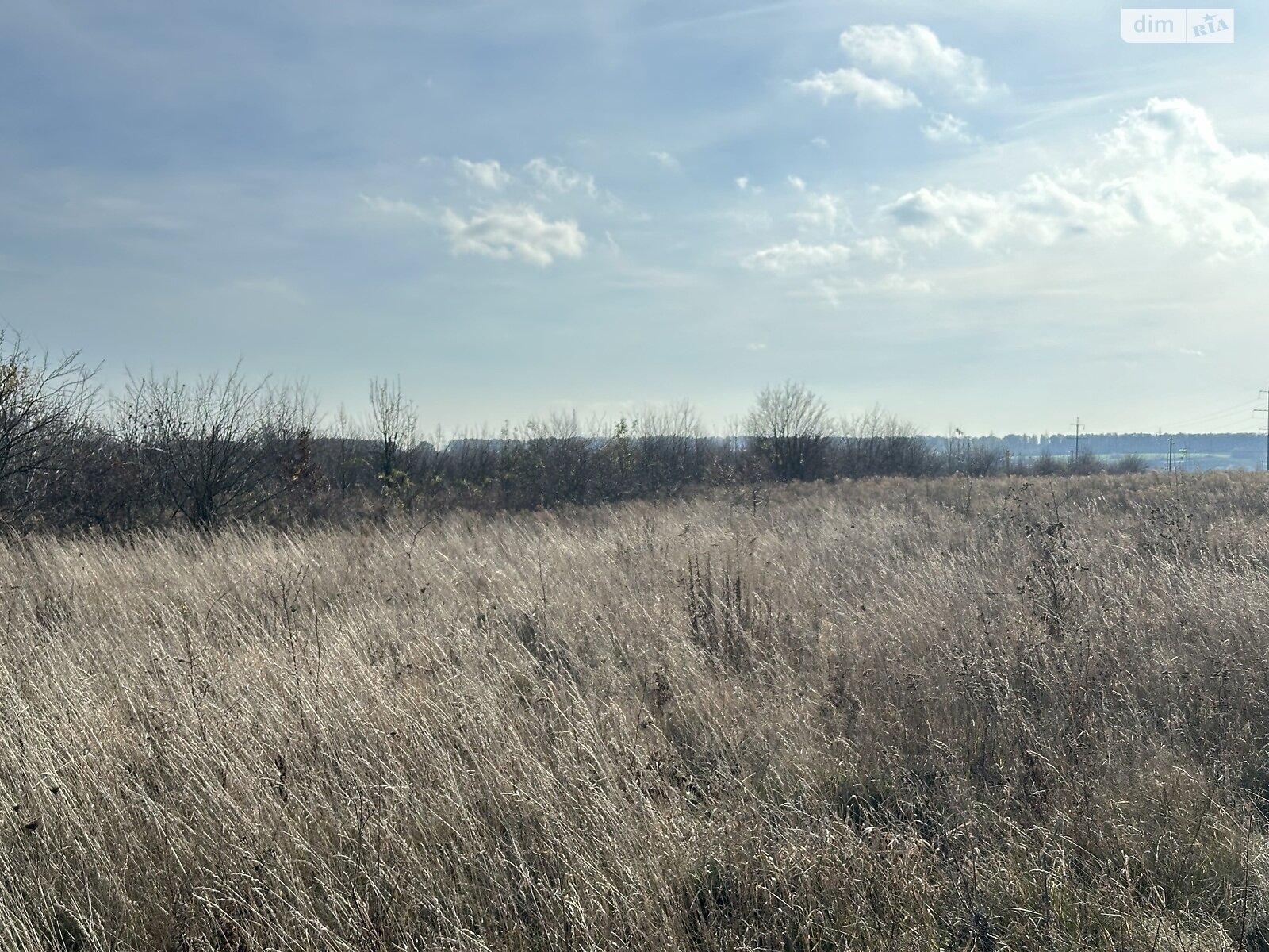 Земельна ділянка комерційного призначення в Луці-Мелешківській, площа 214 соток фото 1