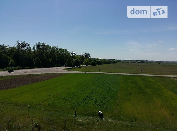 Земельна ділянка комерційного призначення в Луцьку, площа 100 соток фото 1 Земельна ділянка комерційного призначення в Луцьку, площа 100 соток фото 1