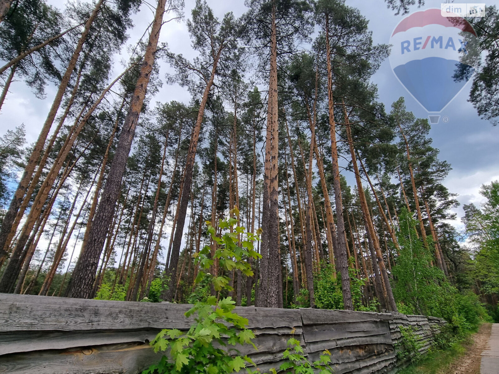 Земельна ділянка комерційного призначення в Лютіжі, площа 171 сотка фото 1 Земельна ділянка комерційного призначення в Лютіжі, площа 171 сотка фото 1