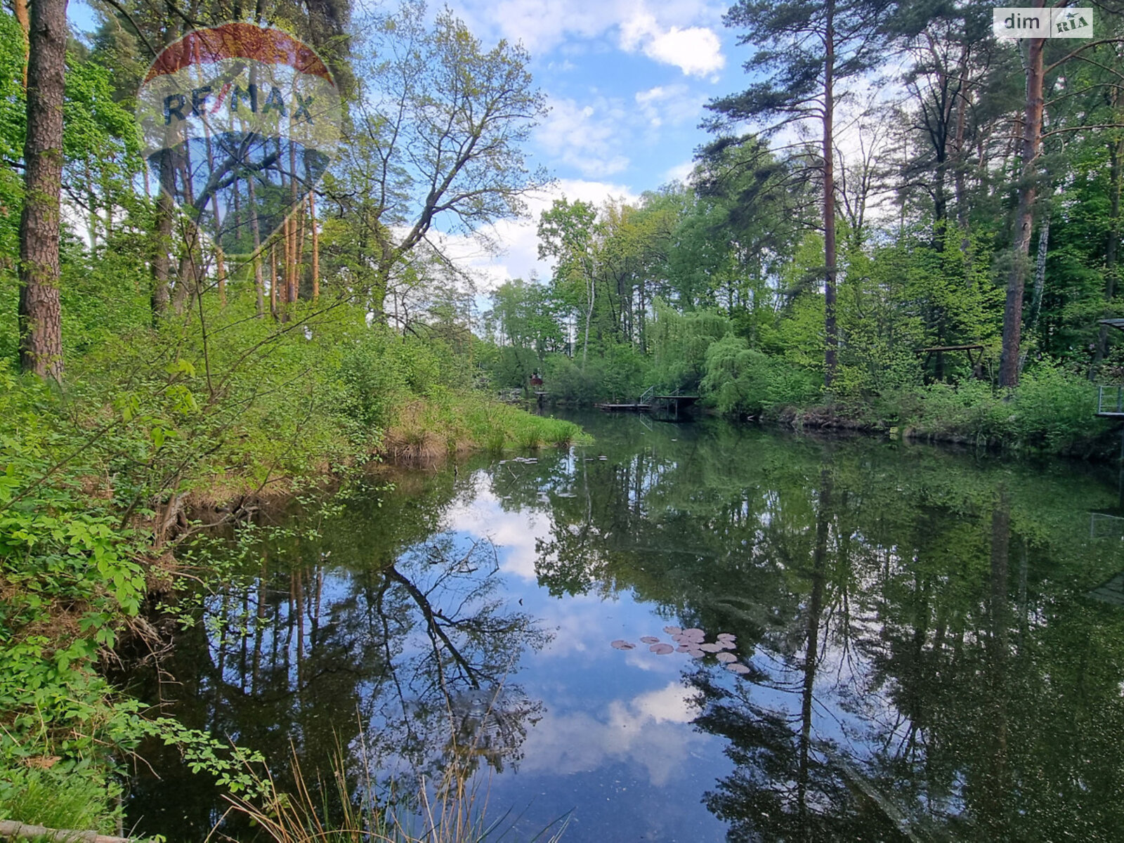 Земельна ділянка комерційного призначення в Лютіжі, площа 171 сотка фото 1 Земельна ділянка комерційного призначення в Лютіжі, площа 171 сотка фото 1