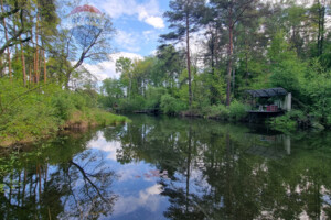 Земельна ділянка комерційного призначення в Лютіжі, площа 171 сотка фото 2