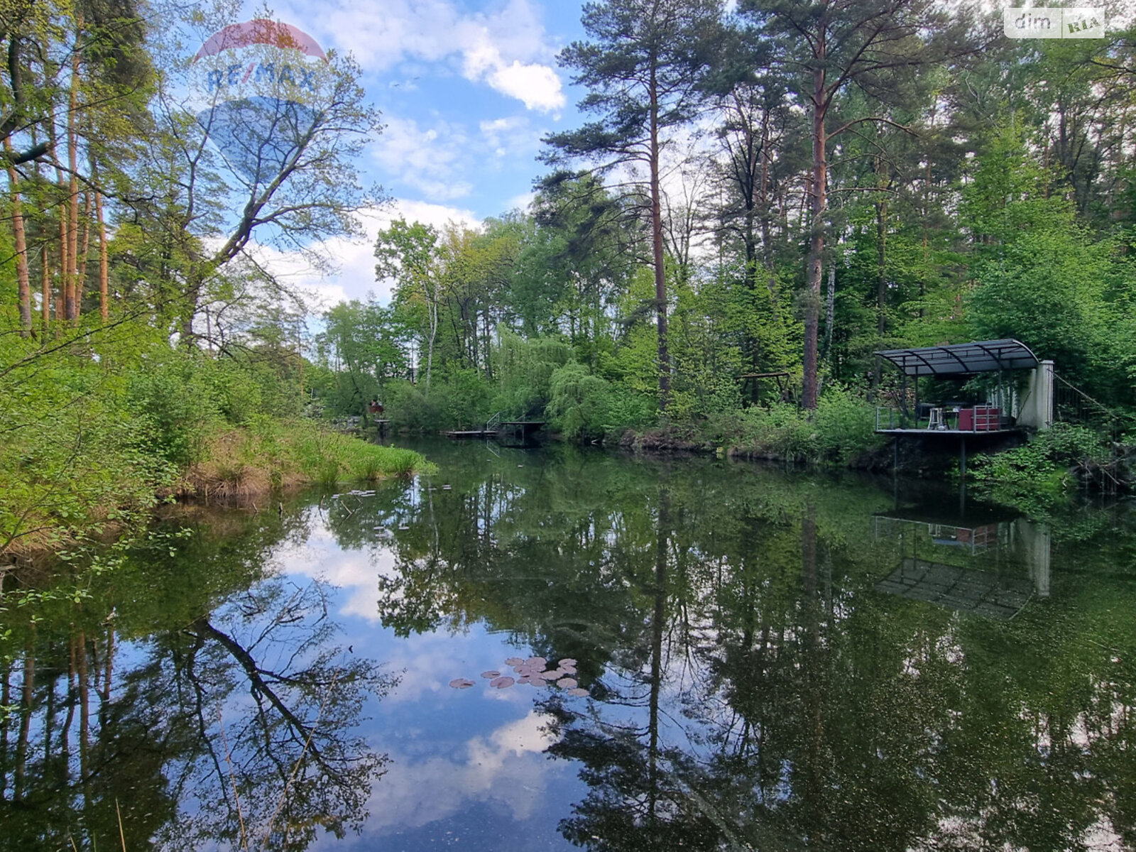 Земельна ділянка комерційного призначення в Лютіжі, площа 171 сотка фото 1 Земельна ділянка комерційного призначення в Лютіжі, площа 171 сотка фото 1