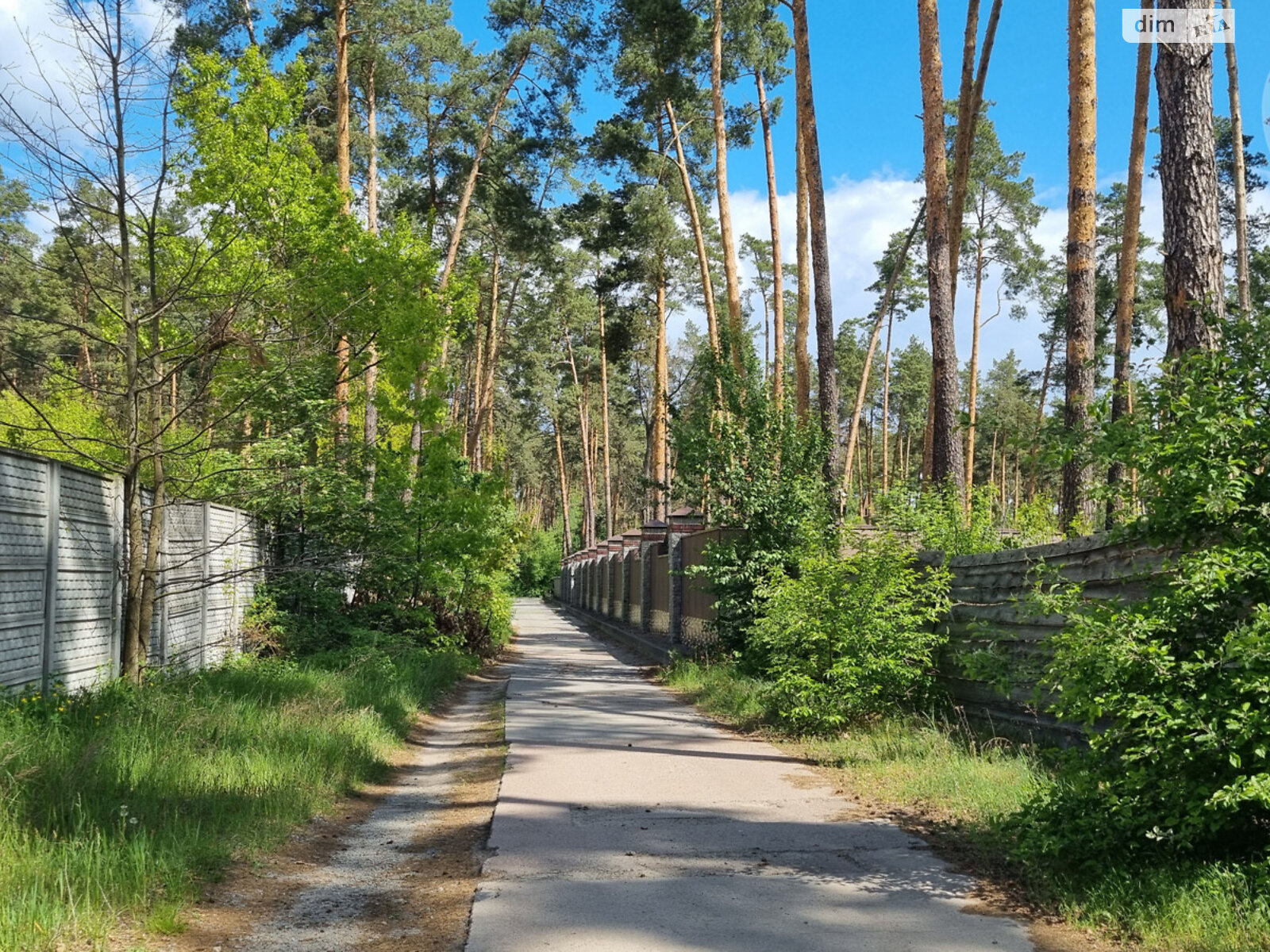 Земельна ділянка комерційного призначення в Лютіжі, площа 171 сотка фото 1 Земельна ділянка комерційного призначення в Лютіжі, площа 171 сотка фото 1