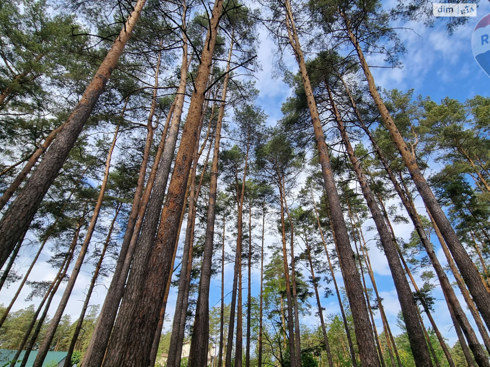 Земельна ділянка комерційного призначення в Лютіжі, площа 171 сотка фото 1 Земельна ділянка комерційного призначення в Лютіжі, площа 171 сотка фото 1