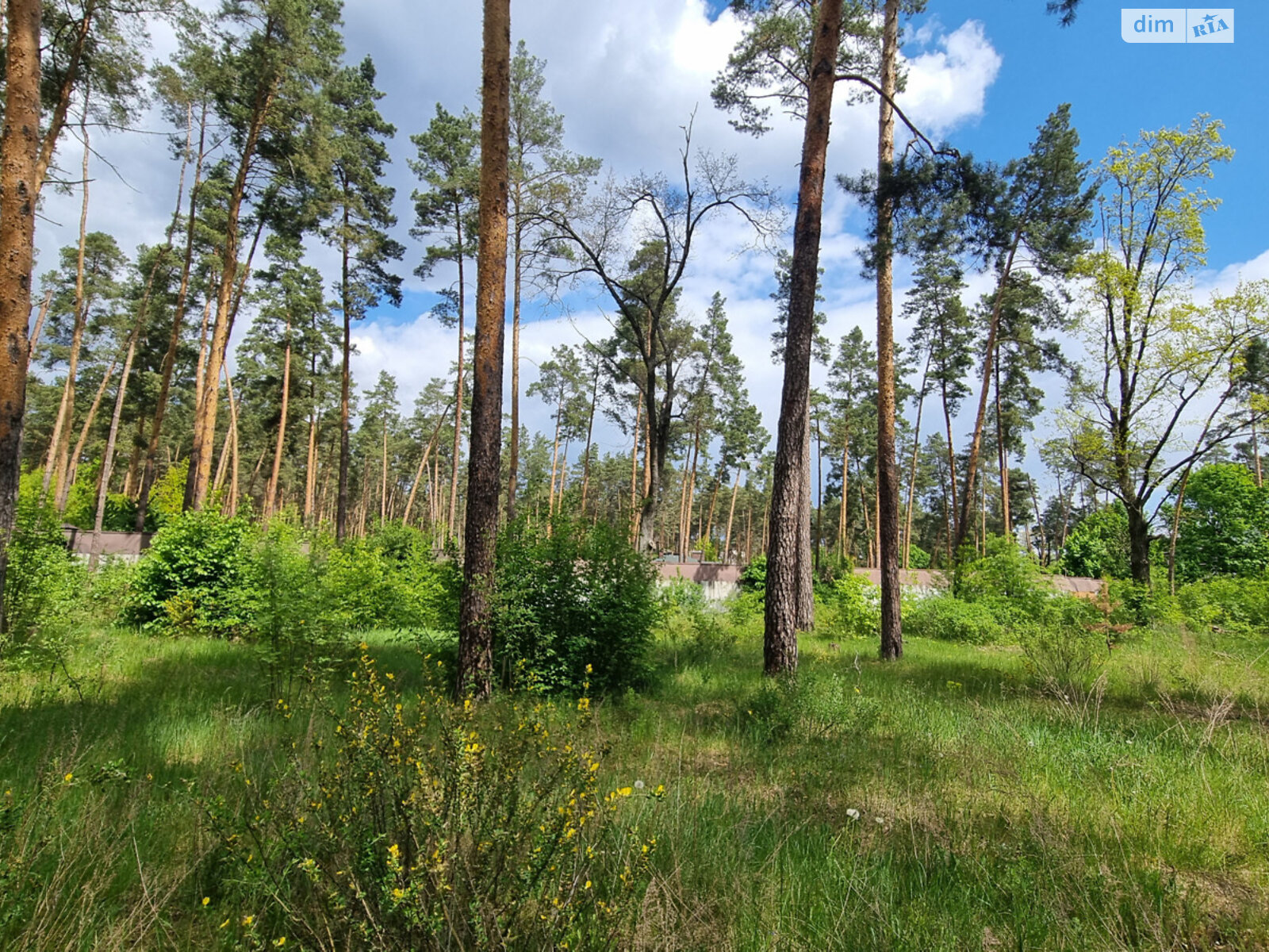 Земельна ділянка комерційного призначення в Лютіжі, площа 171 сотка фото 1 Земельна ділянка комерційного призначення в Лютіжі, площа 171 сотка фото 1