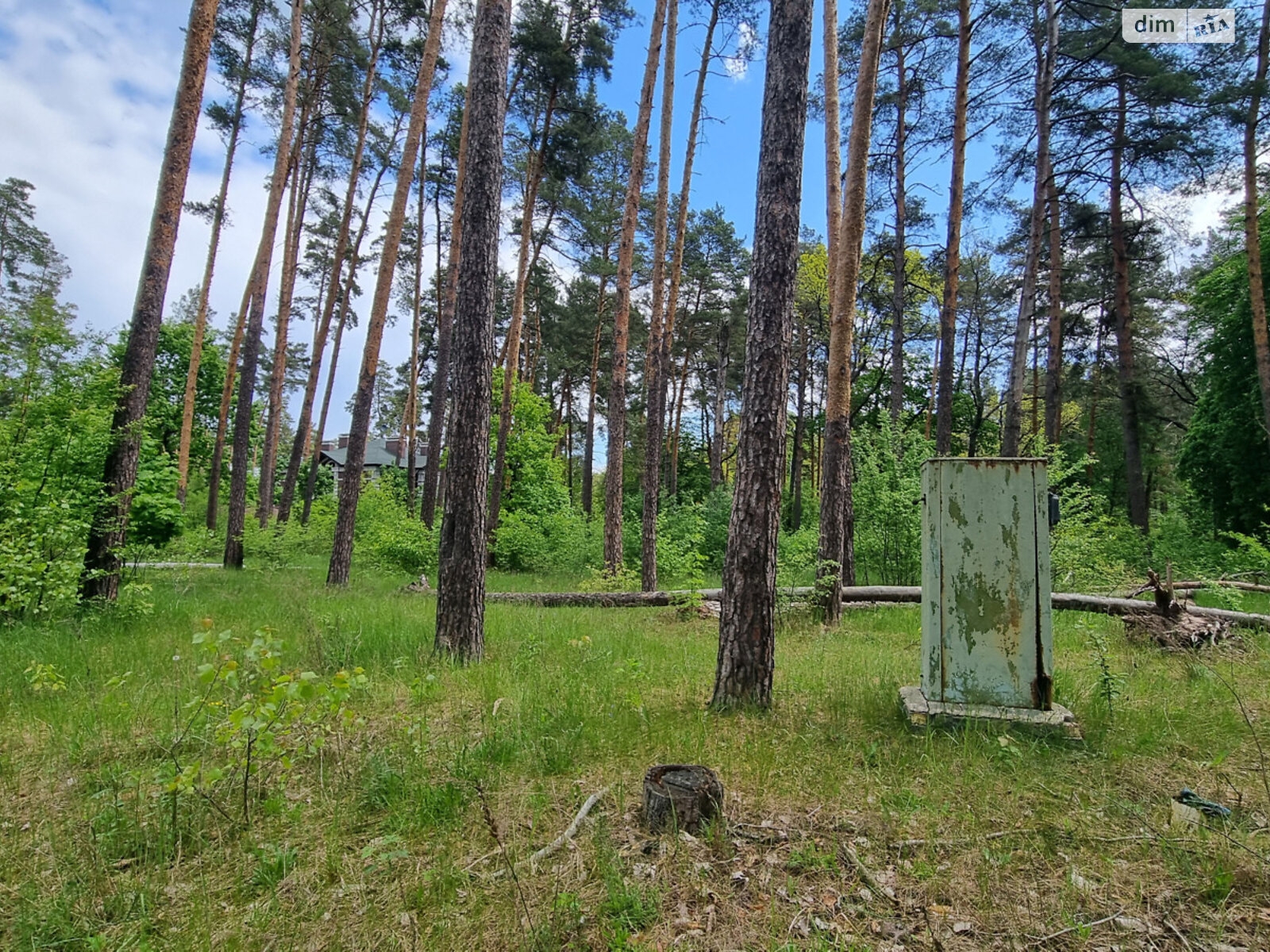 Земельна ділянка комерційного призначення в Лютіжі, площа 171 сотка фото 1 Земельна ділянка комерційного призначення в Лютіжі, площа 171 сотка фото 1