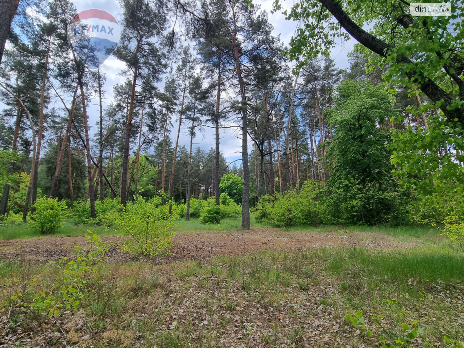 Земельна ділянка комерційного призначення в Лютіжі, площа 171 сотка фото 1 Земельна ділянка комерційного призначення в Лютіжі, площа 171 сотка фото 1