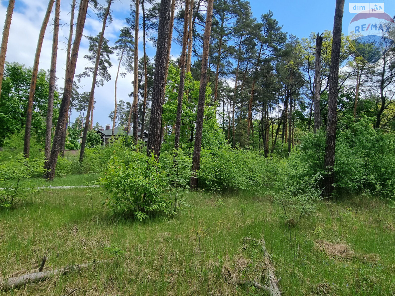 Земельна ділянка комерційного призначення в Лютіжі, площа 171 сотка фото 1 Земельна ділянка комерційного призначення в Лютіжі, площа 171 сотка фото 1