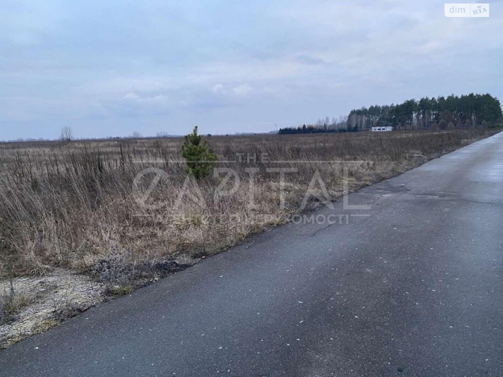 Земля коммерческого назначения в Макарове, район Березовка, площадь 400 соток фото 1