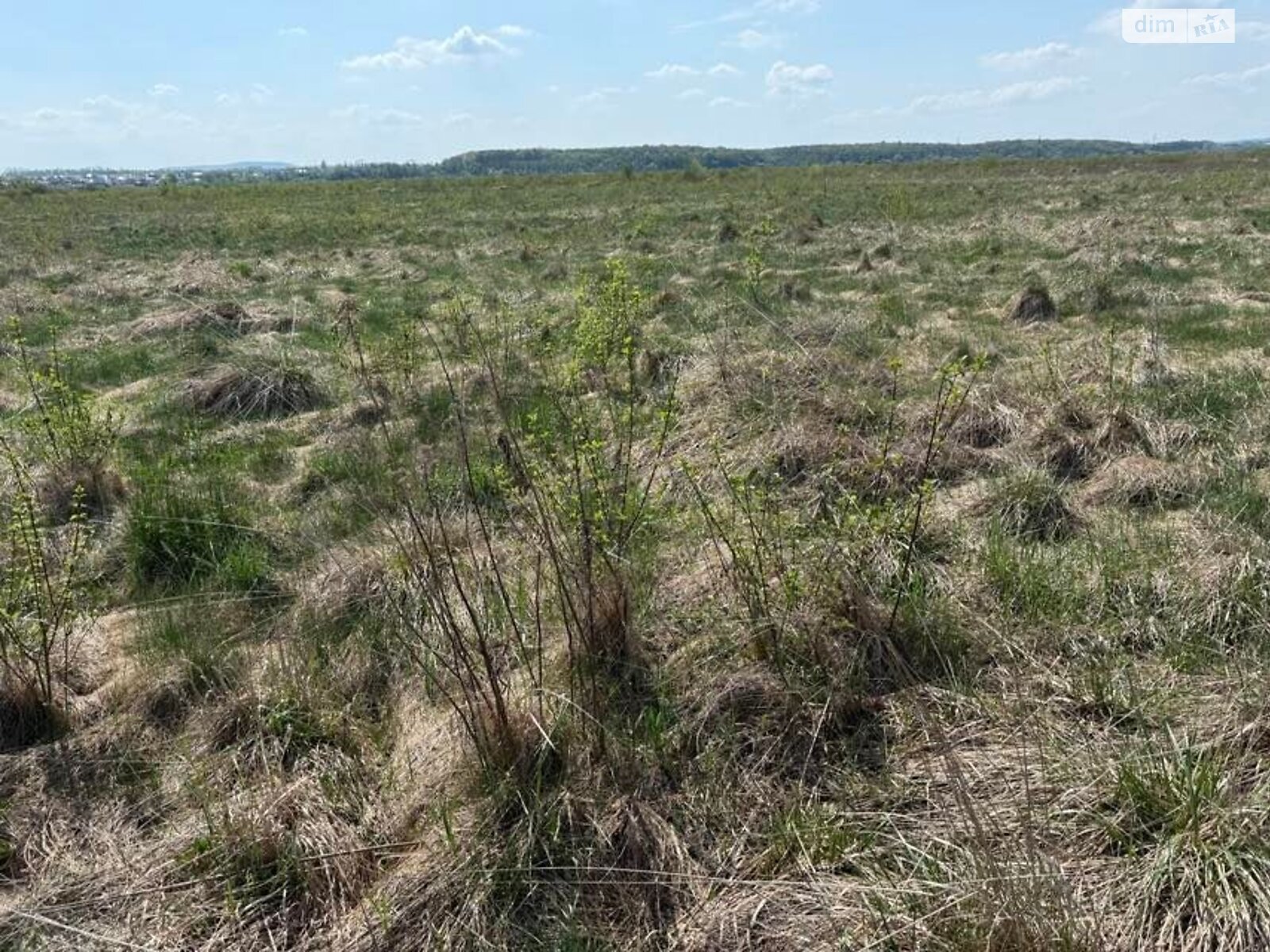 Земельна ділянка комерційного призначення в Малих Підлісках, площа 1.2 Га фото 1
