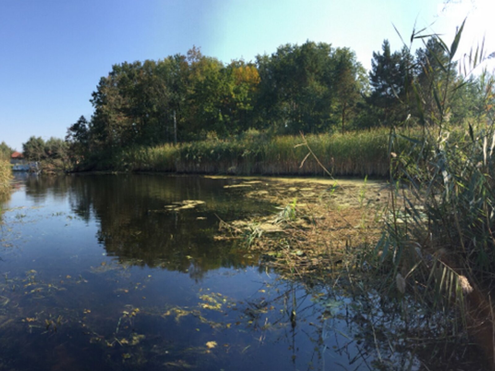 Земельна ділянка комерційного призначення в Матвіївці, площа 150 соток фото 1 Земельна ділянка комерційного призначення в Матвіївці, площа 150 соток фото 1