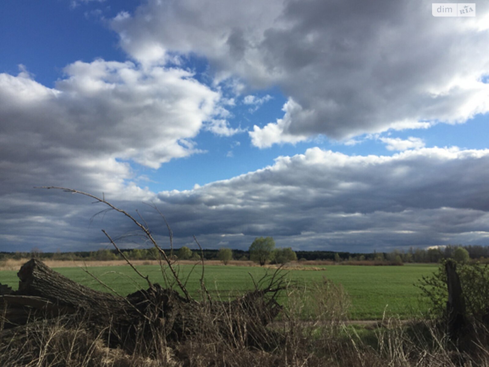 Земельна ділянка комерційного призначення в Матвіївці, площа 150 соток фото 1 Земельна ділянка комерційного призначення в Матвіївці, площа 150 соток фото 1