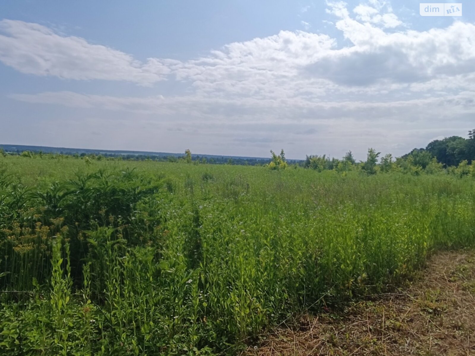 Земельна ділянка комерційного призначення в Медмежому Вушку, площа 8 Га фото 1 Земельна ділянка комерційного призначення в Медмежому Вушку, площа 8 Га фото 1