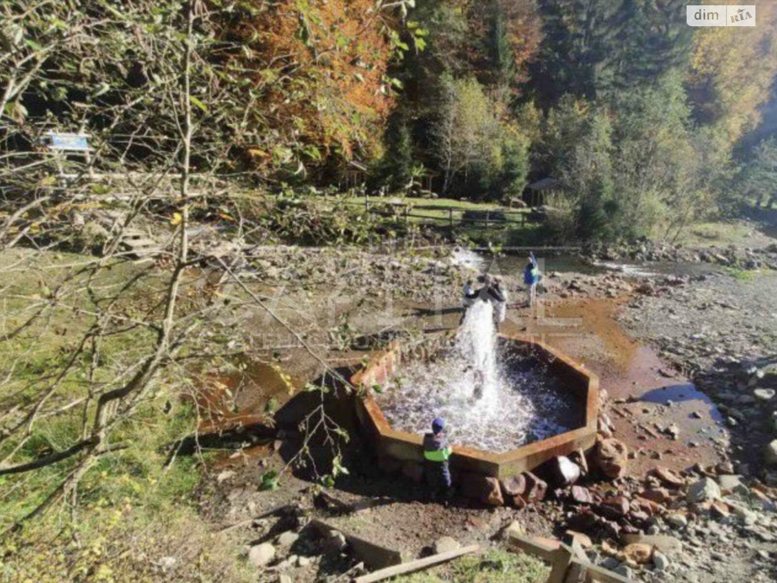 Земля комерційного призначення в Міжгір’ї, район Міжгір’я, площа 307 соток фото 1