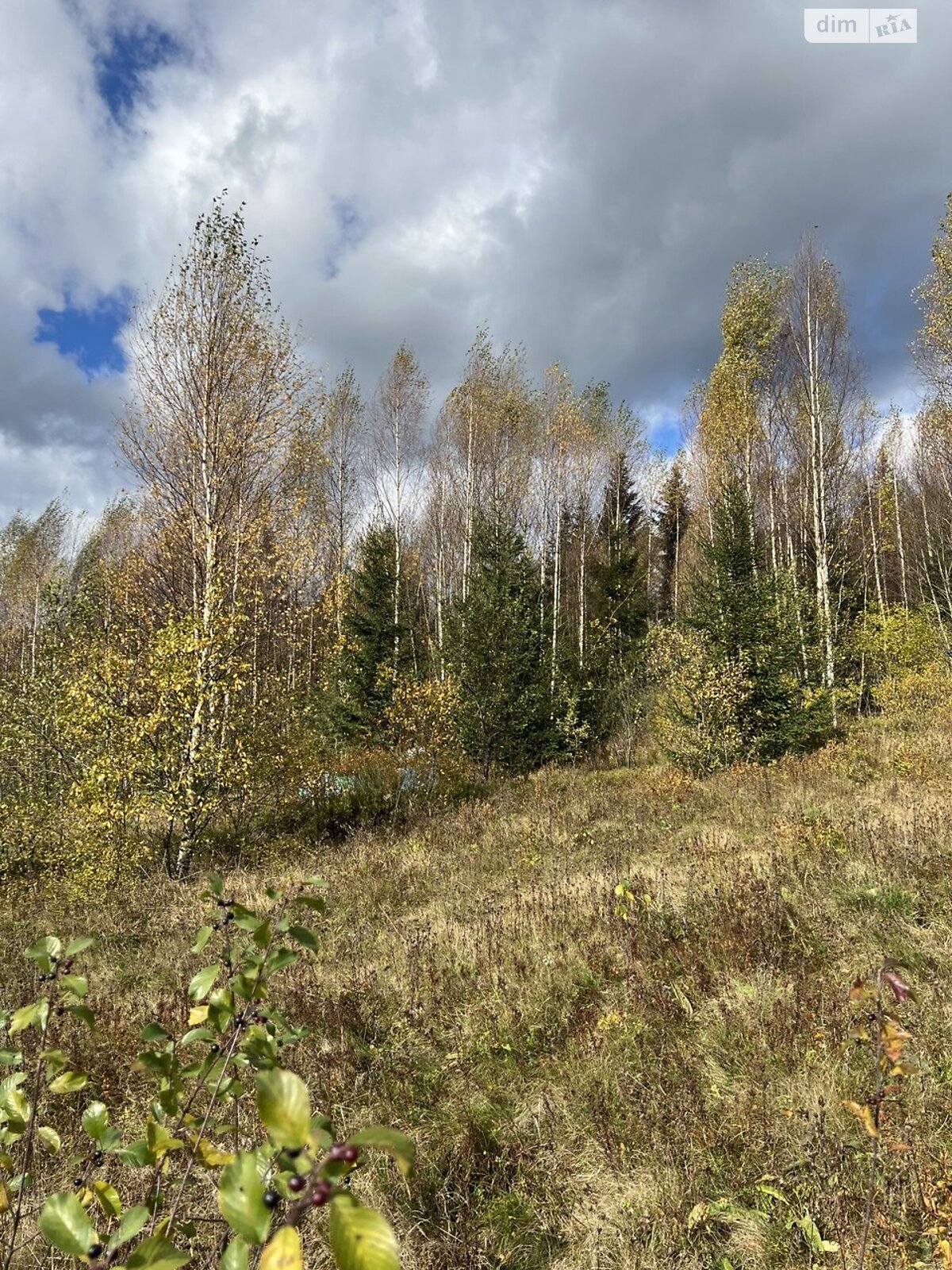 Земельна ділянка комерційного призначення в Мислівці, площа 2 Га фото 1 Земельна ділянка комерційного призначення в Мислівці, площа 2 Га фото 1