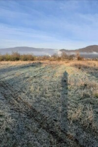 Земельный участок коммерческого назначения в Нелипине, площадь 40 соток фото 2