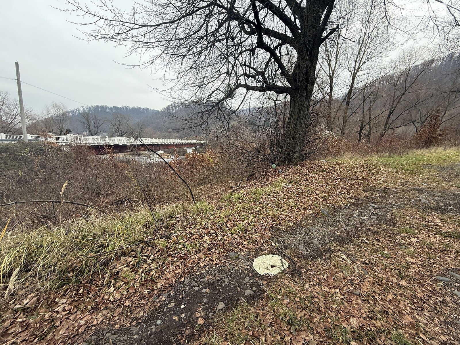 Земельный участок коммерческого назначения в Невицком, площадь 30 соток фото 1 Земельный участок коммерческого назначения в Невицком, площадь 30 соток фото 1