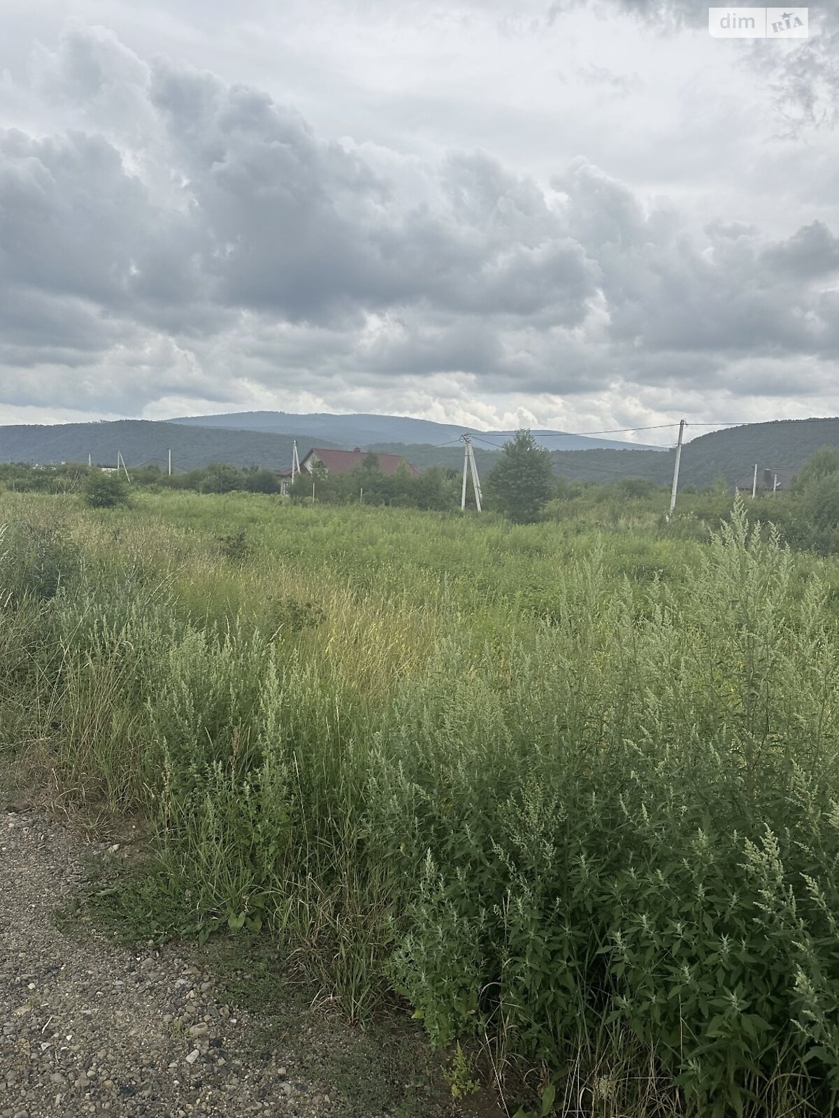 Земельный участок коммерческого назначения в Невицком, площадь 32 сотки фото 1 Земельный участок коммерческого назначения в Невицком, площадь 32 сотки фото 1