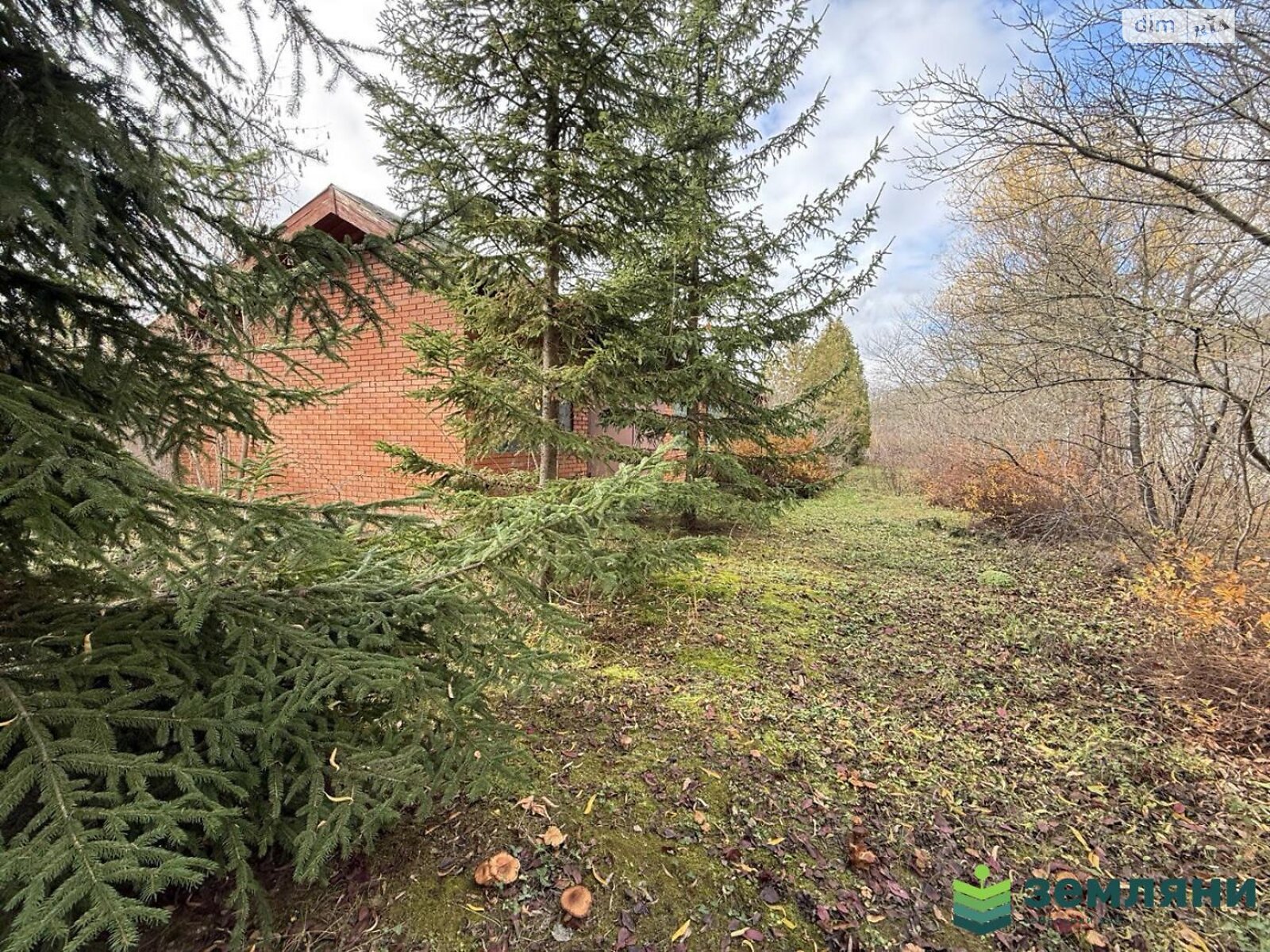 Земельна ділянка комерційного призначення в Микитинцях, площа 1.0048 Га фото 1