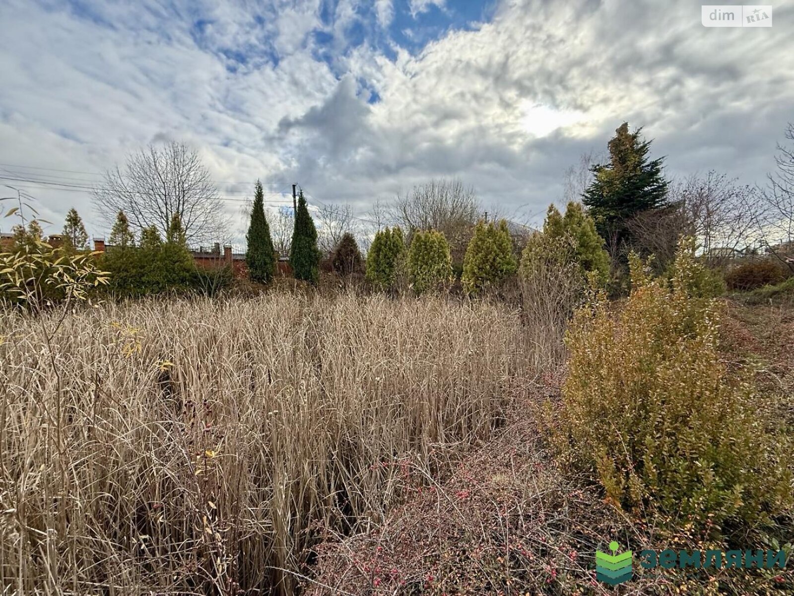 Земельна ділянка комерційного призначення в Микитинцях, площа 1.0048 Га фото 1