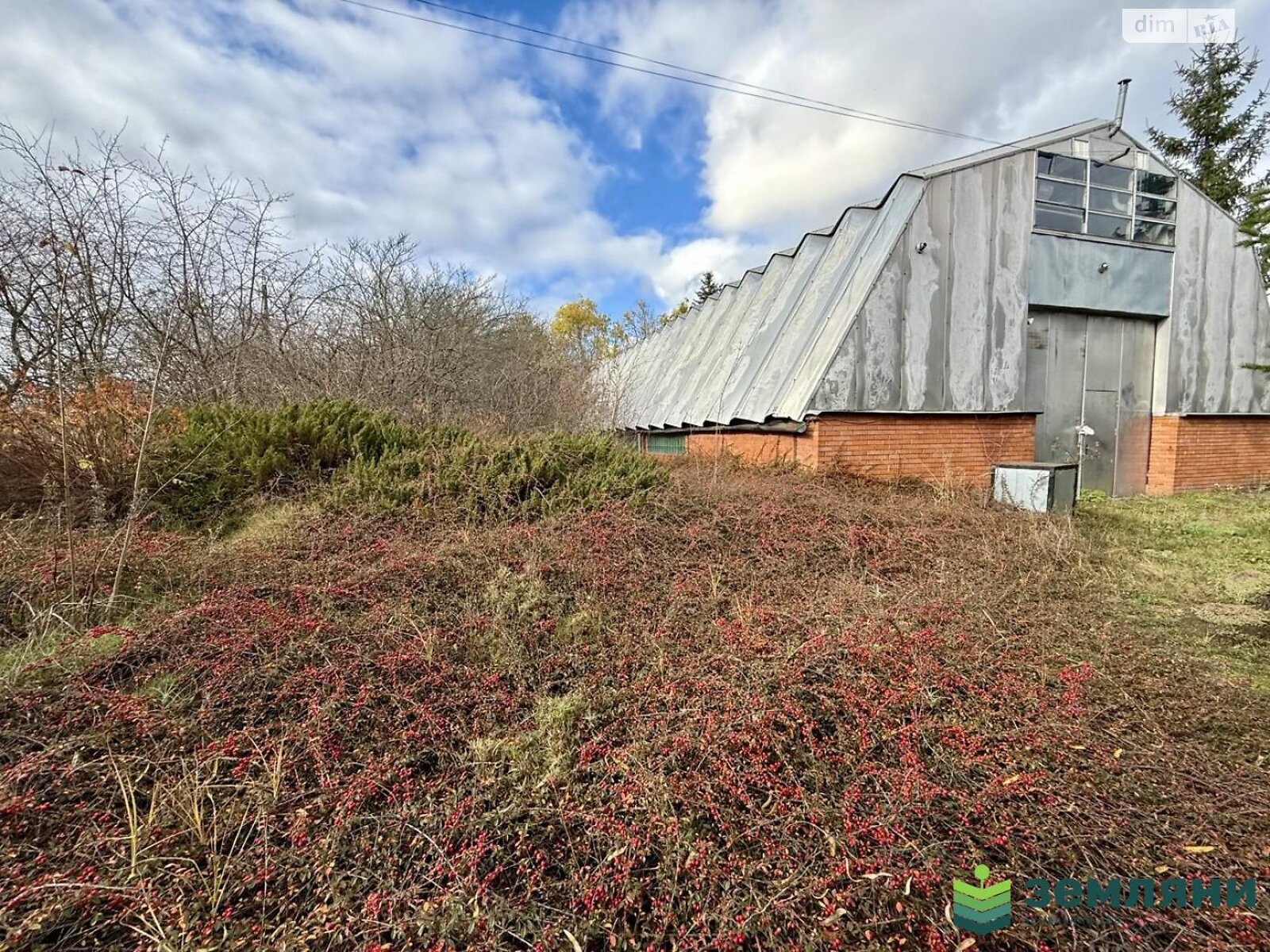 Земельна ділянка комерційного призначення в Микитинцях, площа 1.0048 Га фото 1