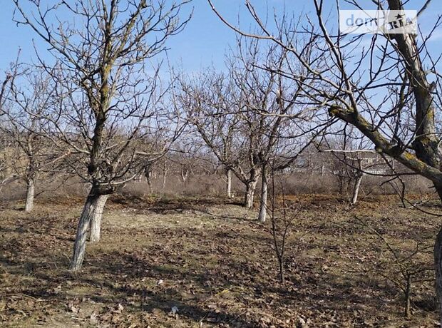 Земля коммерческого назначения в селе Весняное, площадь 30 соток фото 1 Земля коммерческого назначения в селе Весняное, площадь 30 соток фото 1