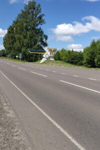 Земельна ділянка комерційного призначення в Нововолинську, площа 157.42 сотки фото 2