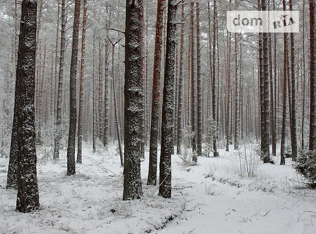 Земля коммерческого назначения в селе Конча-Заспа, площадь 1150 соток фото 1 Земля коммерческого назначения в селе Конча-Заспа, площадь 1150 соток фото 1