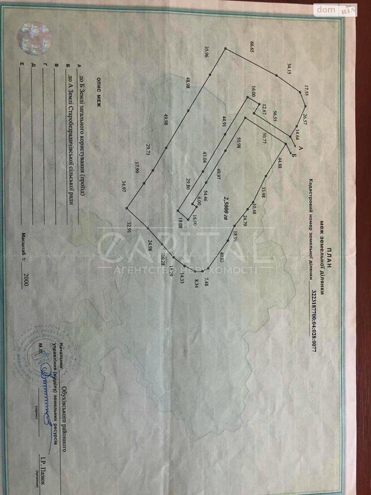 Земельна ділянка комерційного призначення в Нових Безрадичах, площа 250 соток фото 1