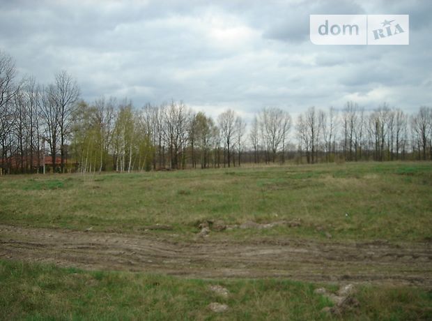 Продажа земли коммерческого назначение, Киевская, Обухов, c. Великие Дмитровичи Продажа земли коммерческого назначение, Киевская, Обухов, c. Великие Дмитровичи