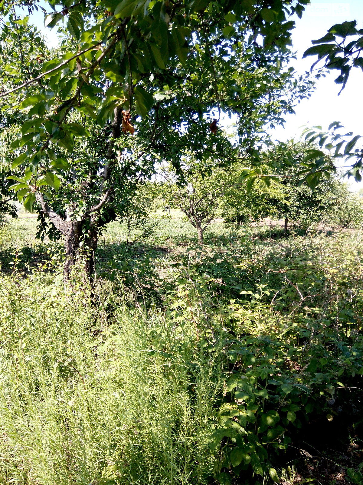 Земля коммерческого назначения в Одессе, район Пересыпский, площадь 3.7 сотки фото 1 Земля коммерческого назначения в Одессе, район Пересыпский, площадь 3.7 сотки фото 1