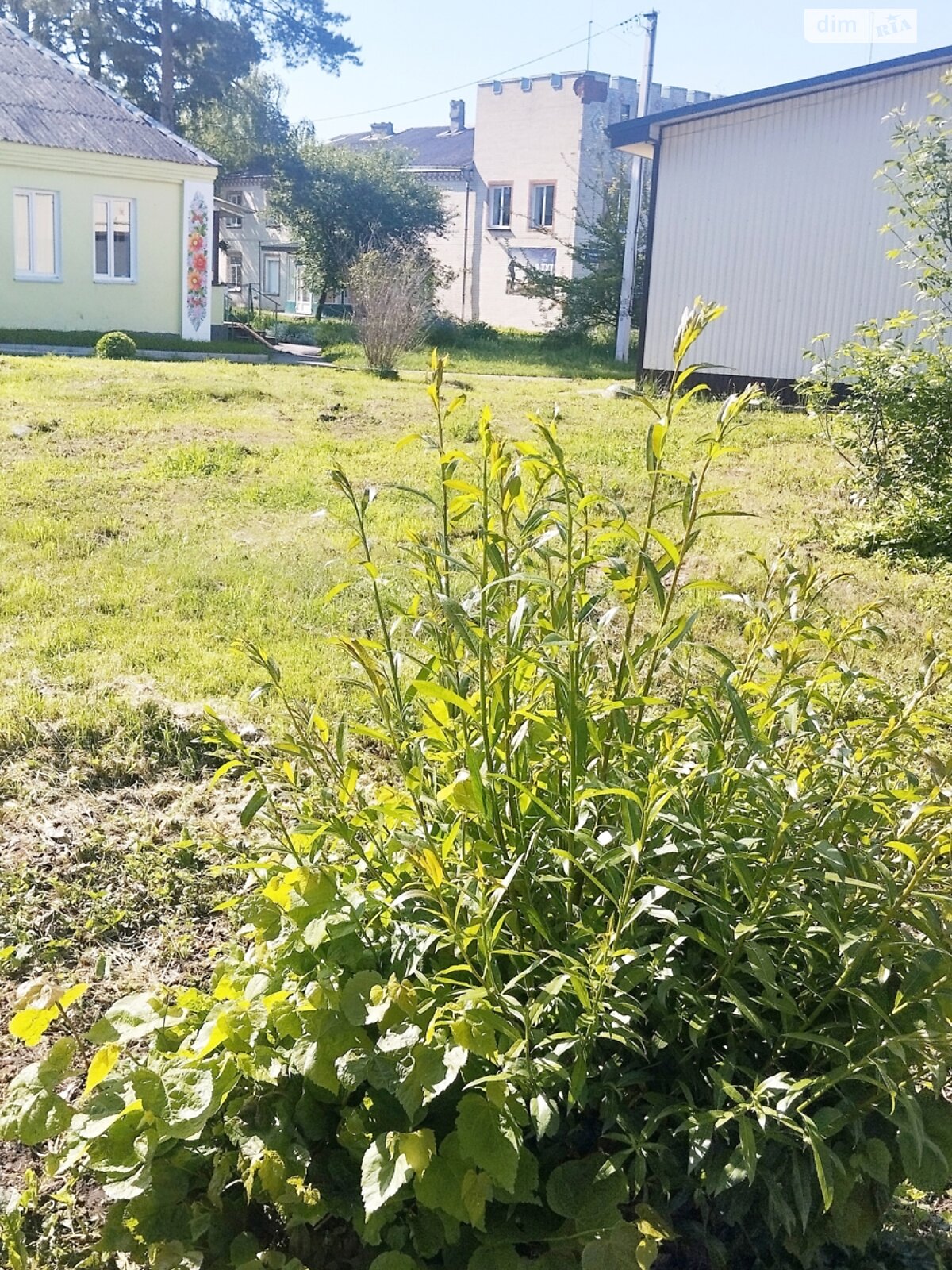 Земельна ділянка комерційного призначення в Олешині, площа 0.01 Га фото 1 Земельна ділянка комерційного призначення в Олешині, площа 0.01 Га фото 1