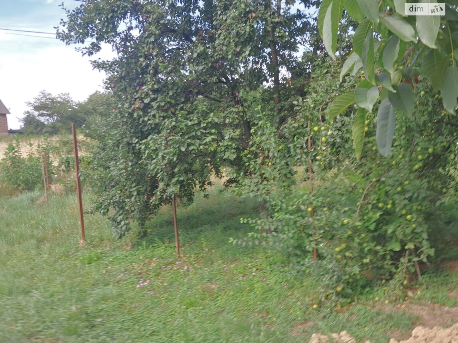 Земельный участок коммерческого назначения в Оноковцы, площадь 4.09 сотки фото 1