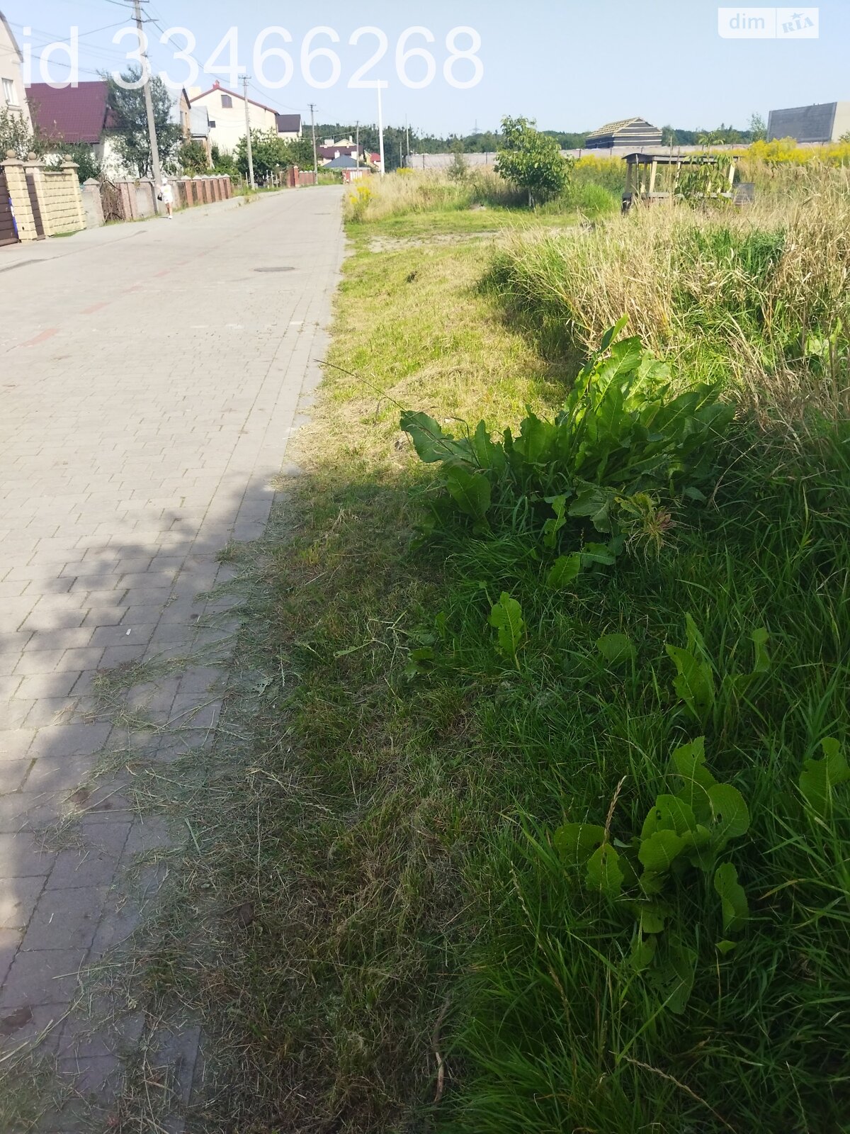 Земельный участок коммерческого назначения в Пасеки-Зубрицкие, площадь 20 соток фото 1 Земельный участок коммерческого назначения в Пасеки-Зубрицкие, площадь 20 соток фото 1