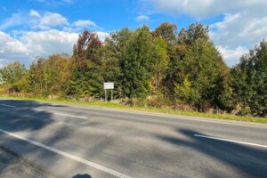 Земельный участок коммерческого назначения в Песочной, площадь 2 Га фото 2 Земельный участок коммерческого назначения в Песочной, площадь 2 Га фото 2