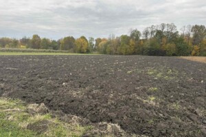 Земельный участок коммерческого назначения в Петрике, площадь 25 соток фото 2 Земельный участок коммерческого назначения в Петрике, площадь 25 соток фото 2